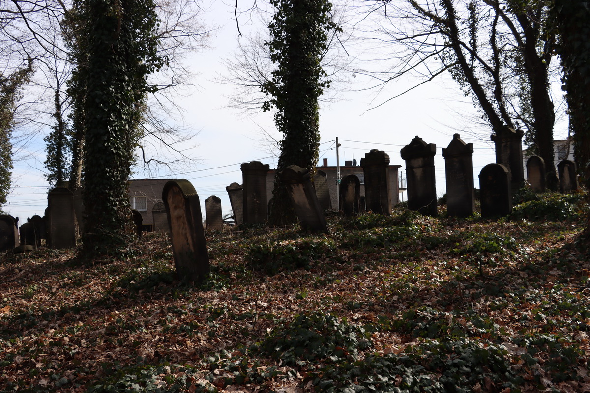 jewish cemeteries Mikołów