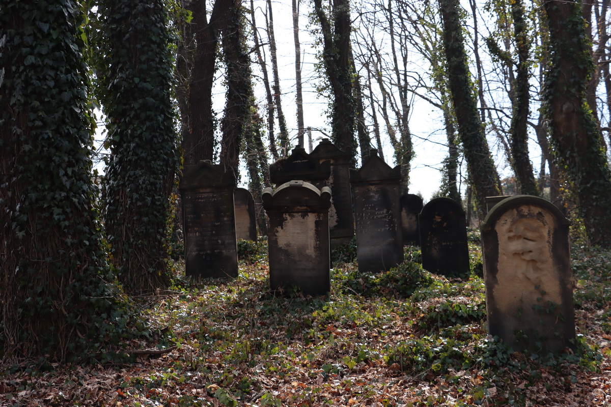 jewish cemeteries Mikołów